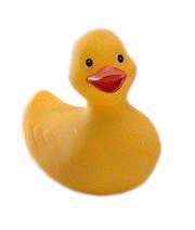 A rubber duck